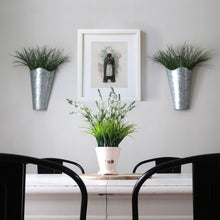 Load image into Gallery viewer, CHEF VADER