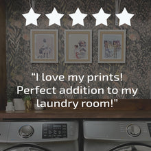 Load image into Gallery viewer, LAUNDRY IN ALDERAAN PLACES